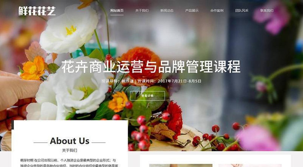 网站制作案例展示二